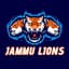 Jammu Lions Flag