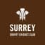 Surrey Flag